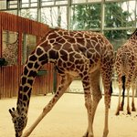 Zoo