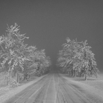 Cesta do nikam, aneb mlha kam se podíváš...