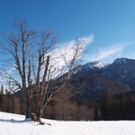 Belanské Tatry