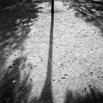 MoML 5. prosince 2016