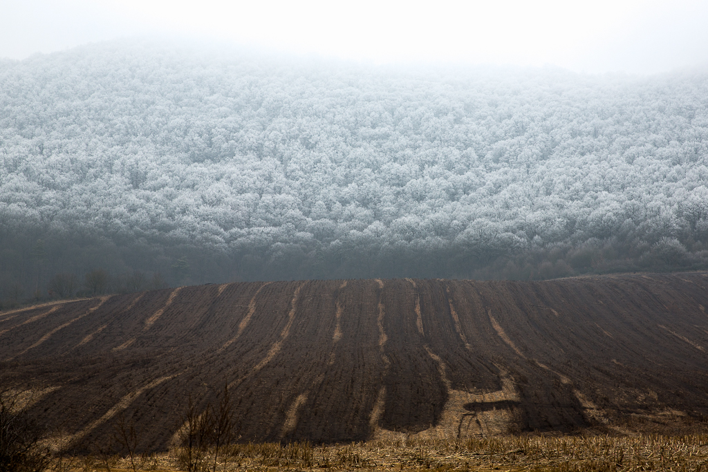 agrotechnické termíny