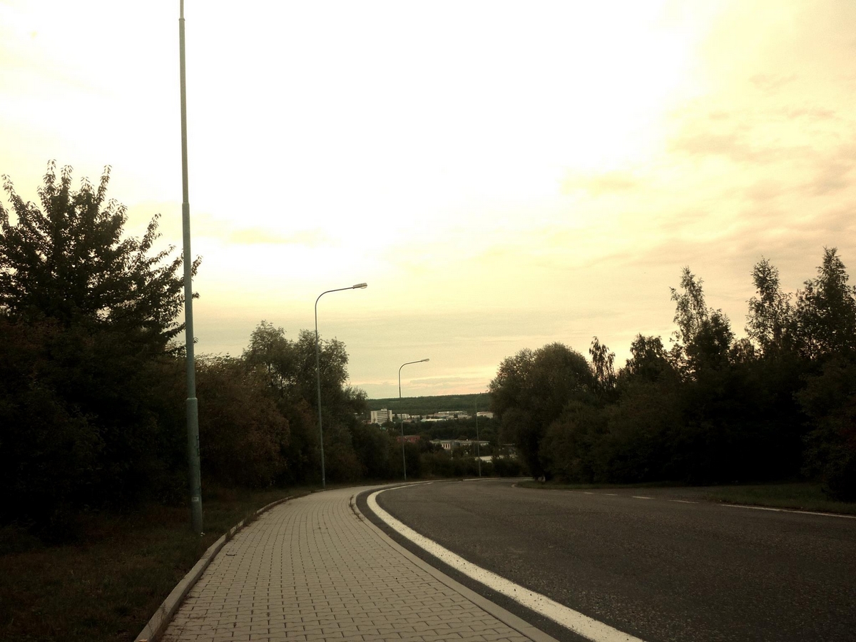 Cesta
