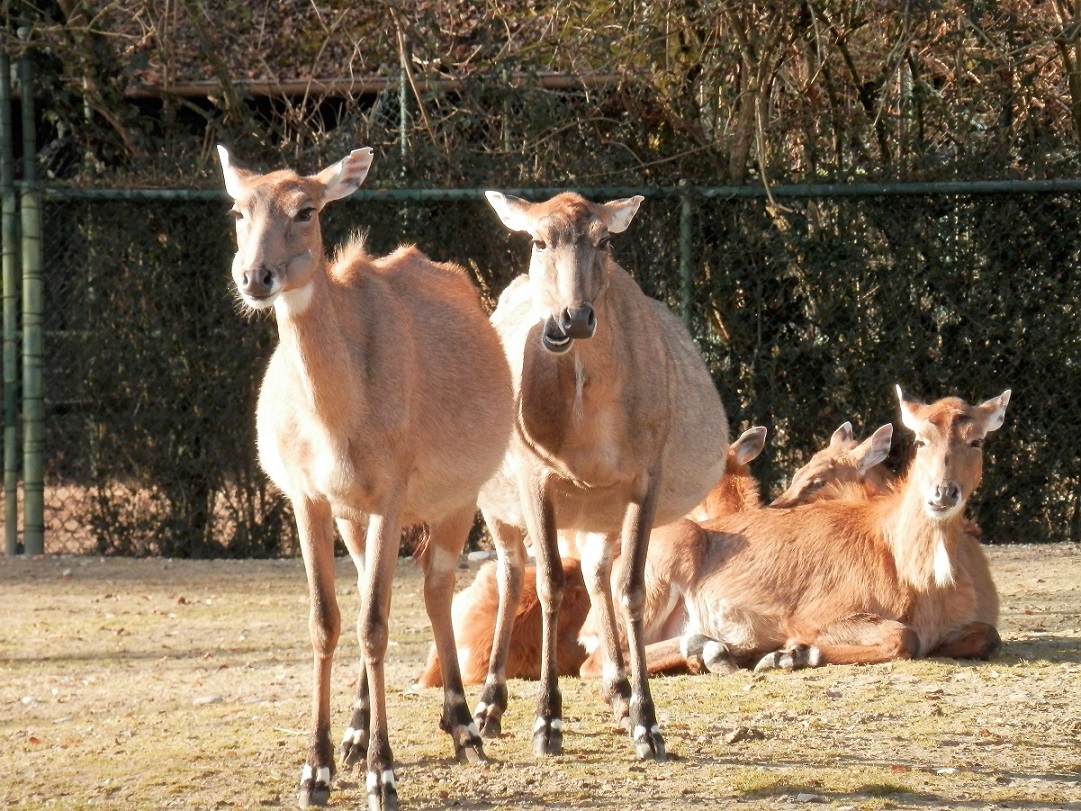 Zoo