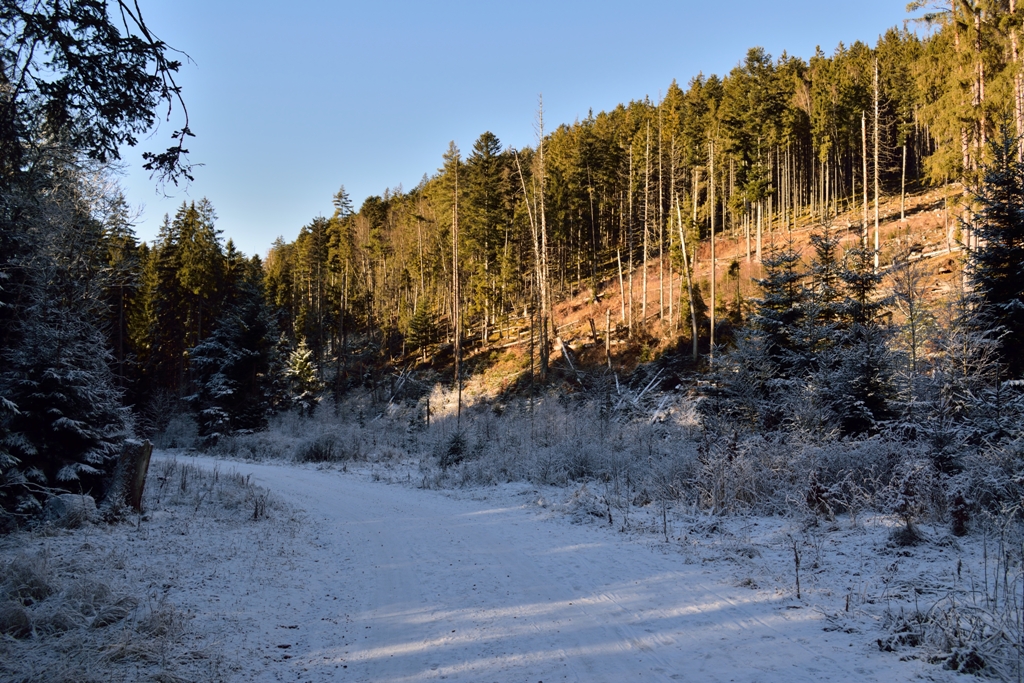 Šumava