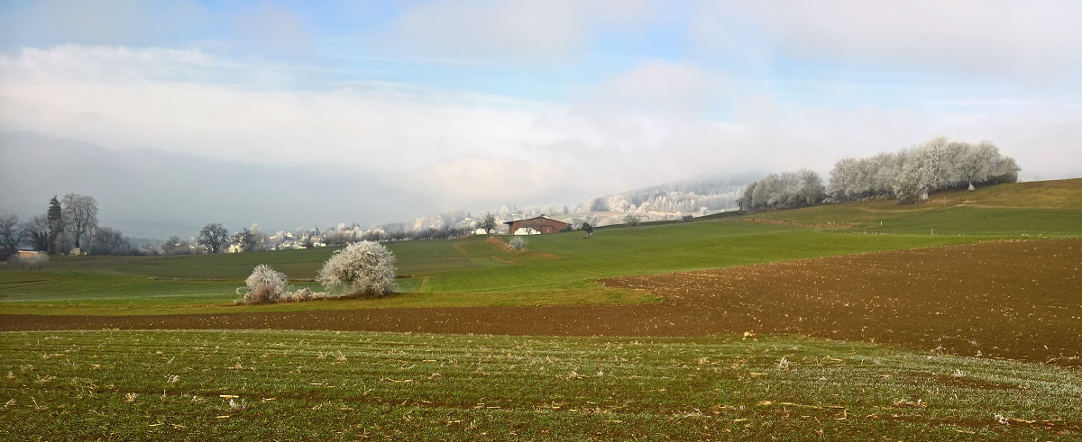 eichberg