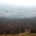 agrotechnické termíny