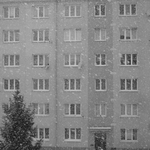 Sláva, už je sníh...