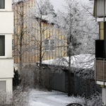 Zima