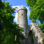 Rozhledna uprostřed lesů