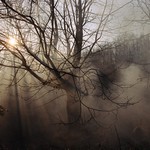 V záhadné zahradě