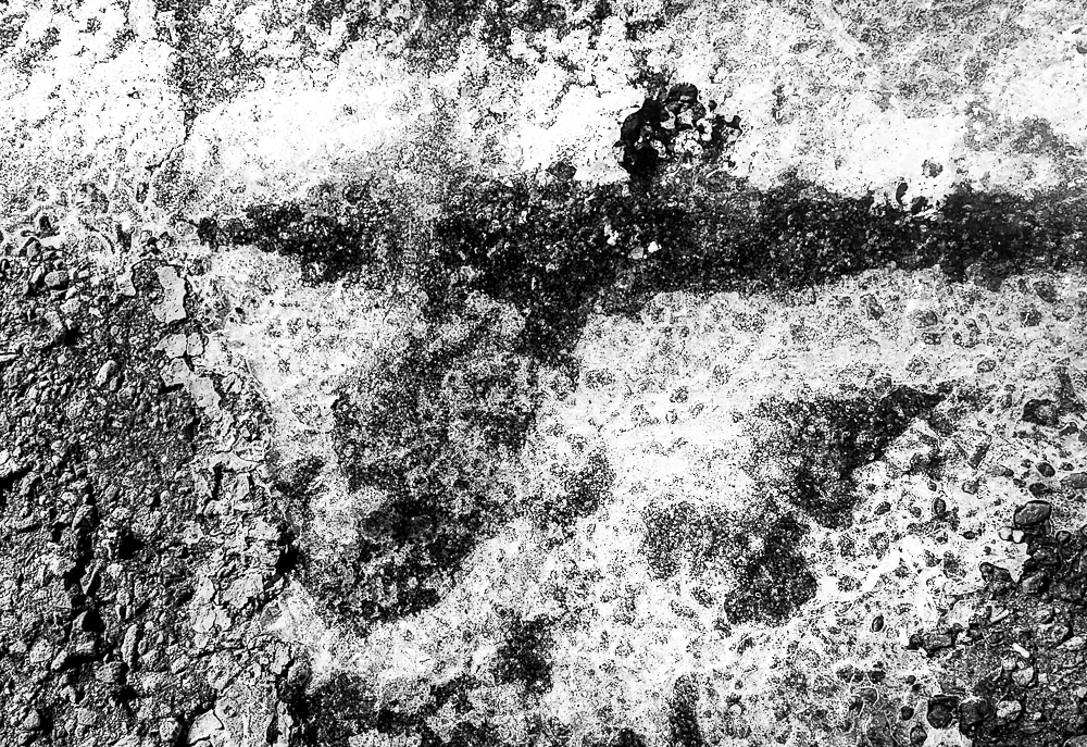 proroctvi