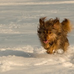 ... utíkej co můžeš :-)