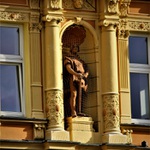 Holub (volné místo)