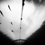 So Long, and Thanks for All the Fish