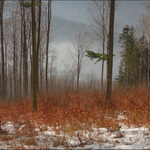 Zima, jak ji mám rád (III)