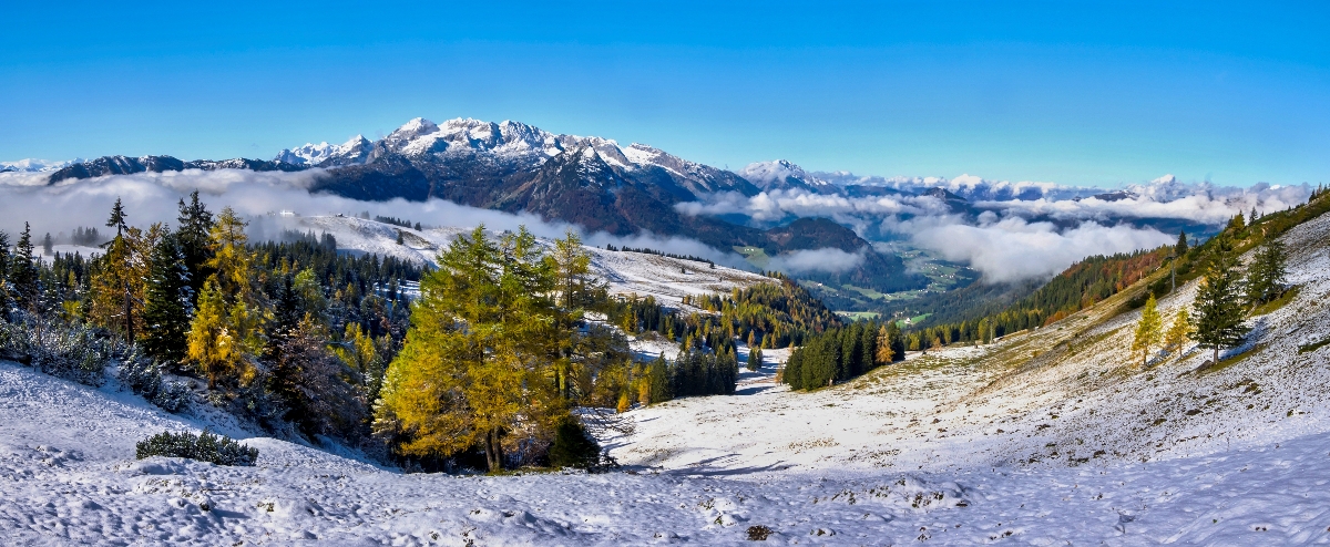  Gossau 3