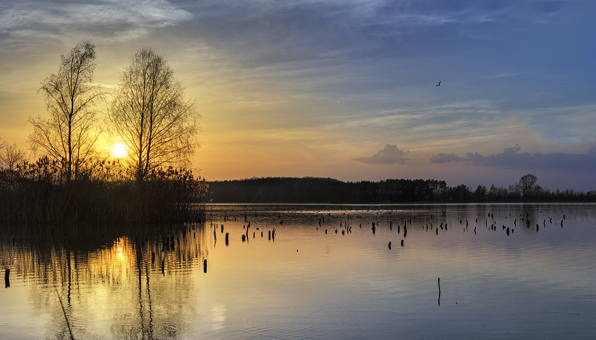 Chomoutovské jezero