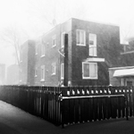 Stella prisla na navstevu