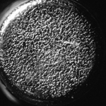 odvrácená strana tužkáče