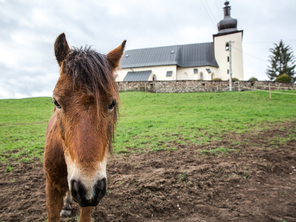 v Lopeji pod kostolom 2