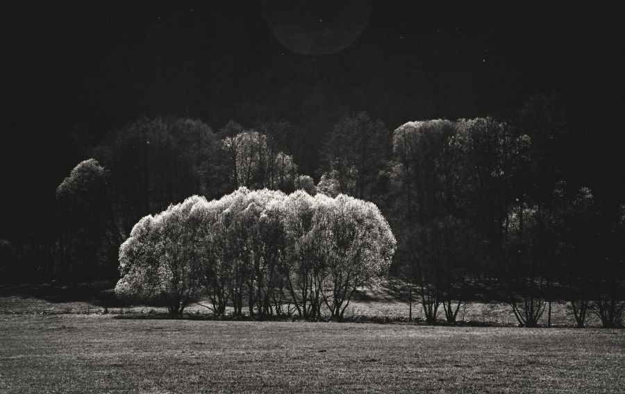 Něco z Radůze a Mahuleny