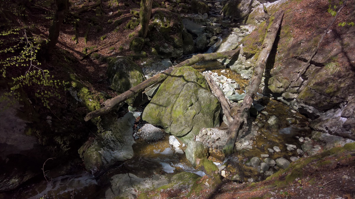 Gorge de Covatannaz I.