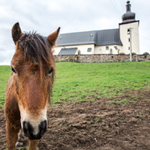 v Lopeji pod kostolom 2