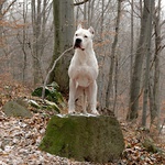 Ochrankár mojej vnučky