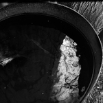 cestecne zatmeni becky