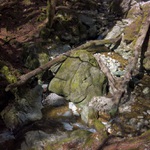 Gorge de Covatannaz I.