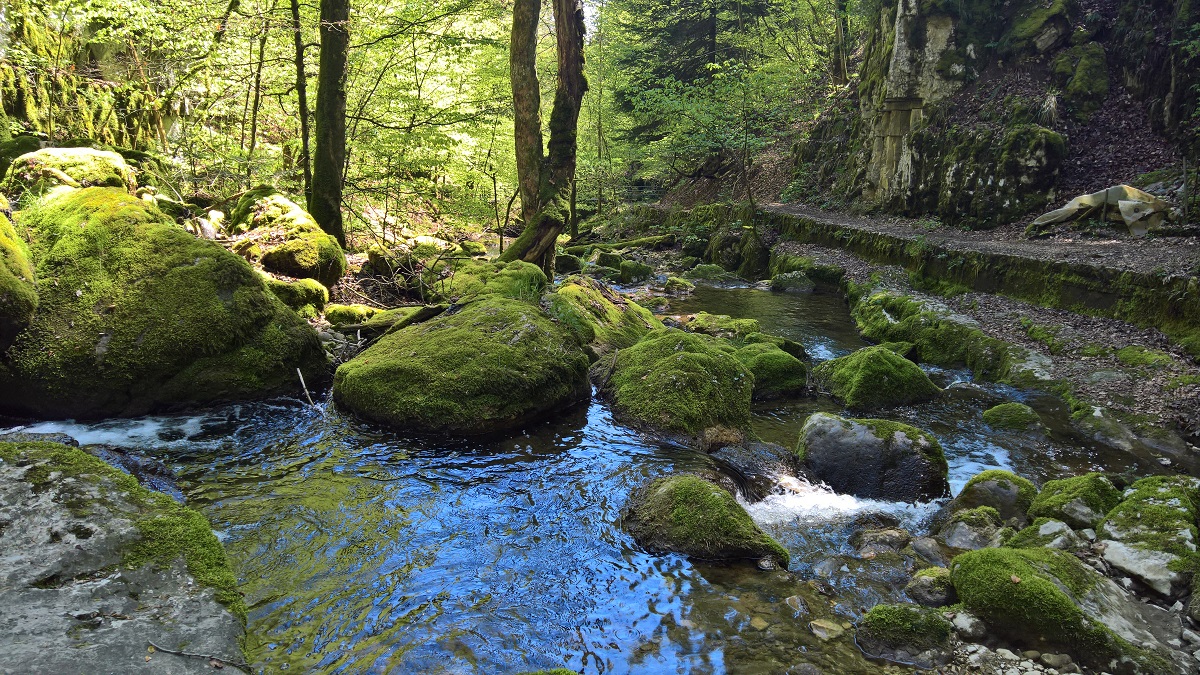 Twannbachschlucht (CH)