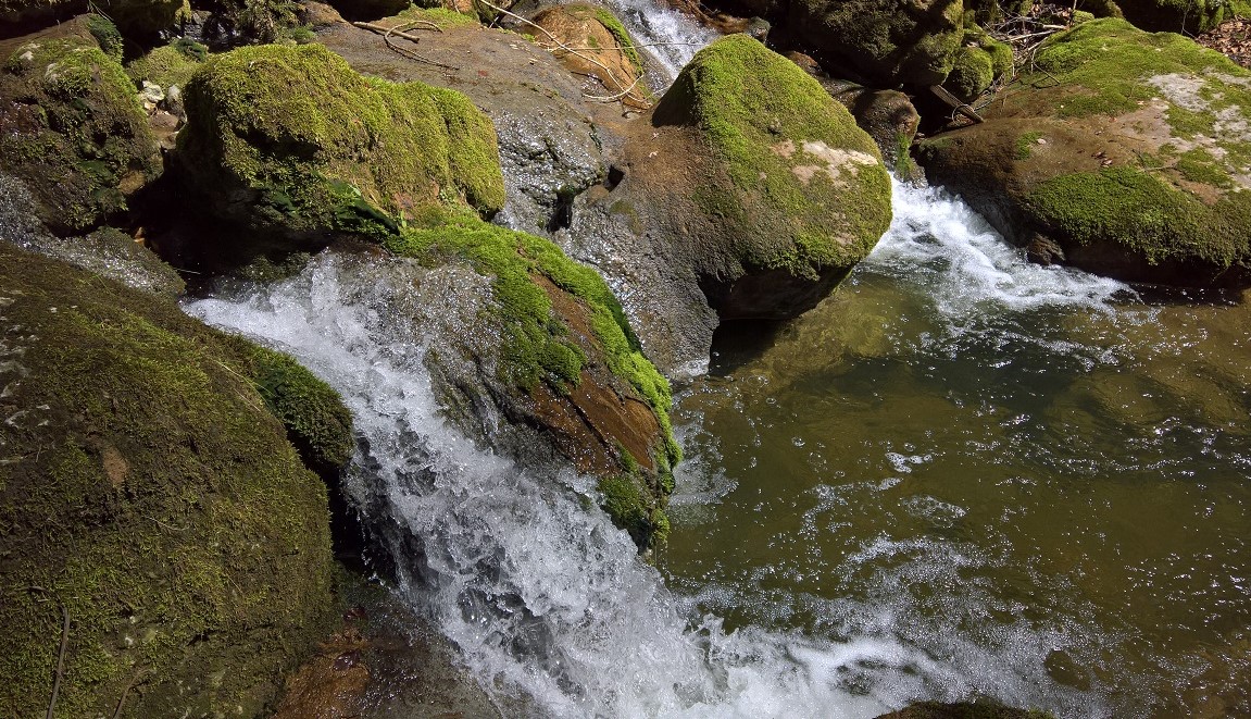 Twannbachschlucht (CH) II.