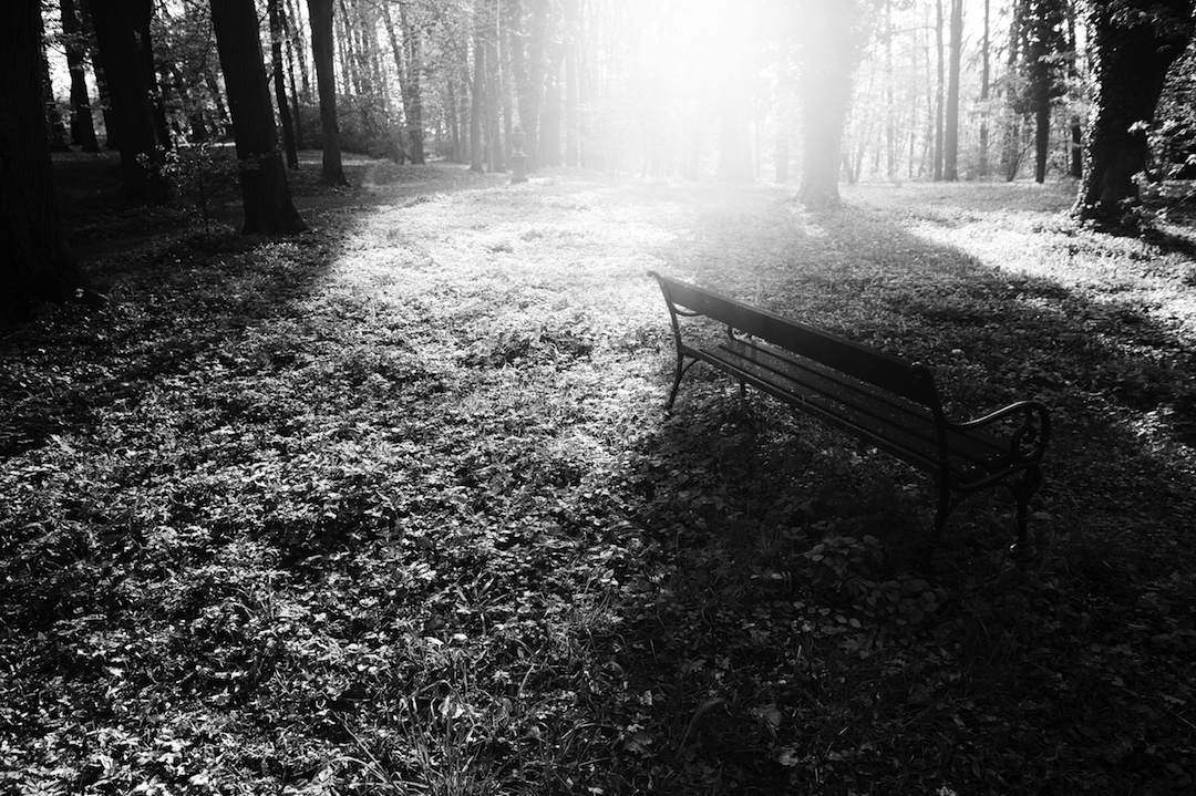 park