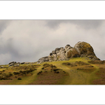 Dartmoor