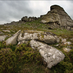 Dartmoor II