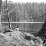 Černé jezero