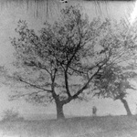 Pinholeday 2017