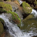 Twannbachschlucht (CH) II.