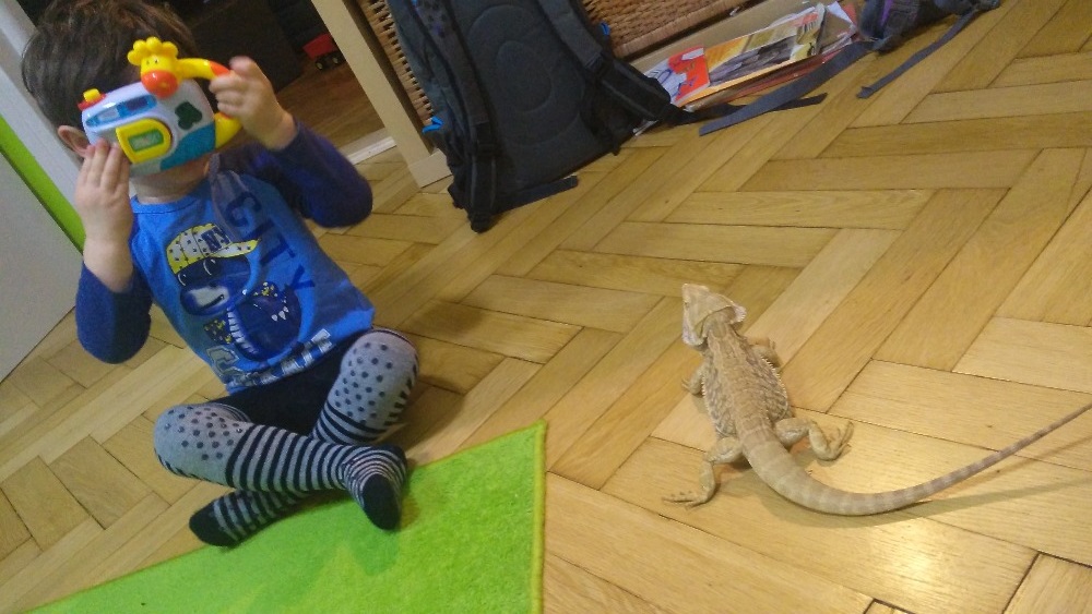 Jak se fotí wildlife :o)