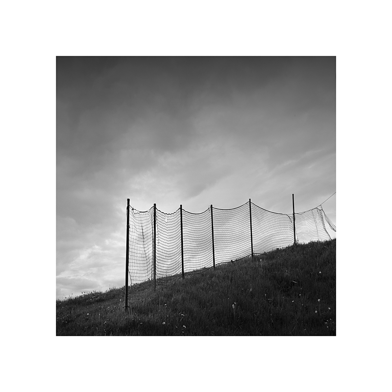 - |||||| -