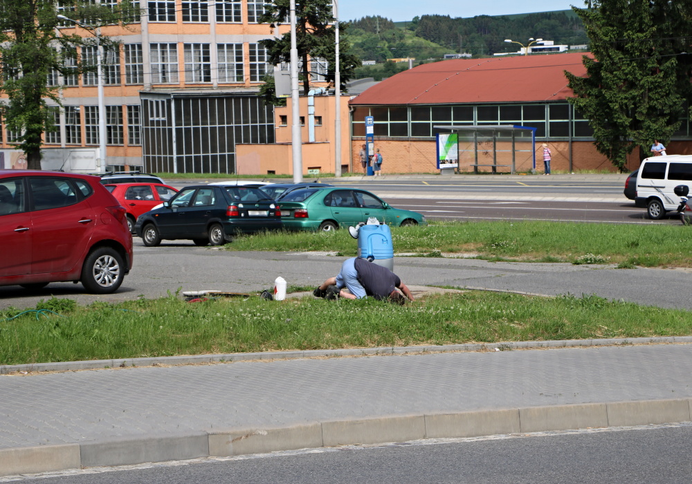 pečlivost kontroly