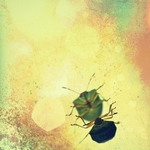 Zrcadlo, zrcadlo, kdo je....