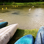 dnešní ráno v Jeseníkách …