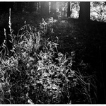 Hradní záležitost