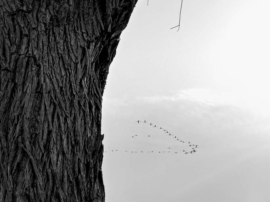 z kteréhosi šuplíku