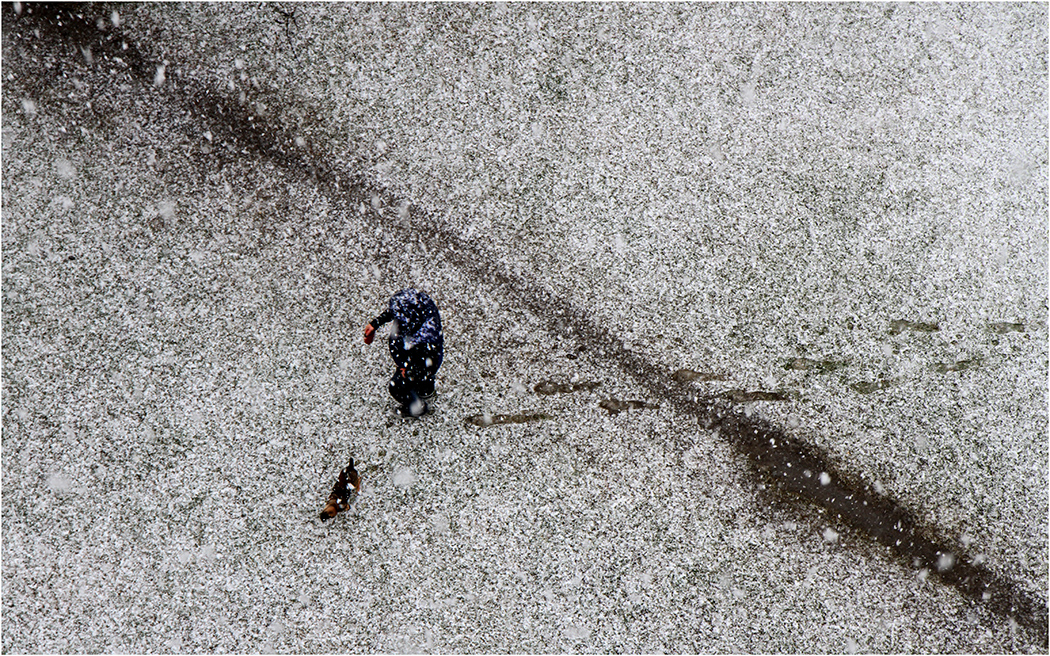 Pokažená kompozice