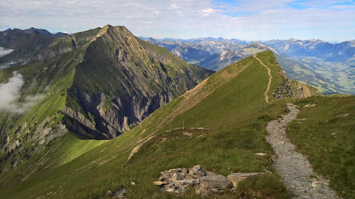 On the road (Niesen)