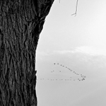 z kteréhosi šuplíku