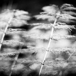 čas v přesličkách