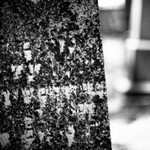 ještě židovský hřbitov v N.B.